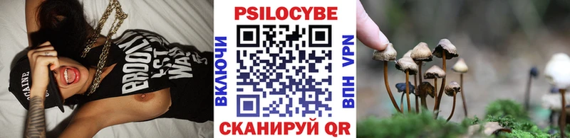Купить  Сегежа  Псилоцибиновые грибы мицелий 