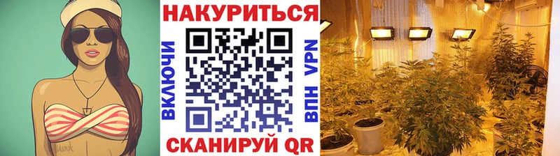 Купить  Сегежа  МАРИХУАНА марихуана 